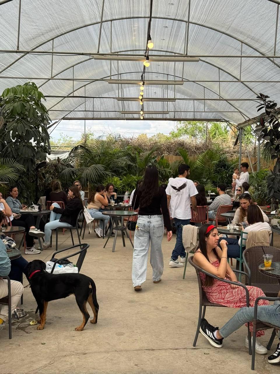 שולחנות מלאים באנשים בחממה, וכלב שחור בתחתית התמונה