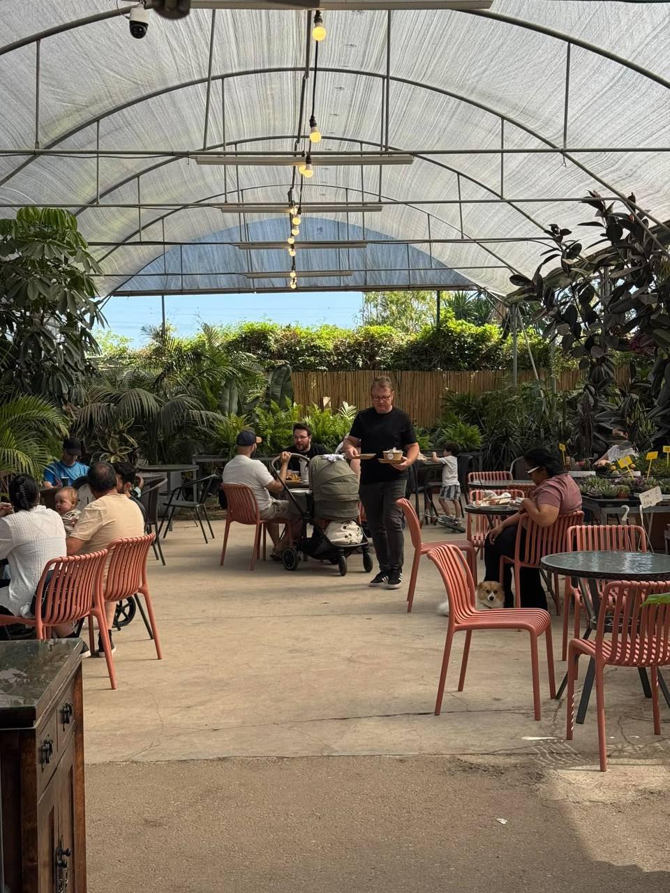 אנשים יושבים בכיסאות בצבע טרה־קוטה מתחת לגג החממה, בין צמחים ירוקים